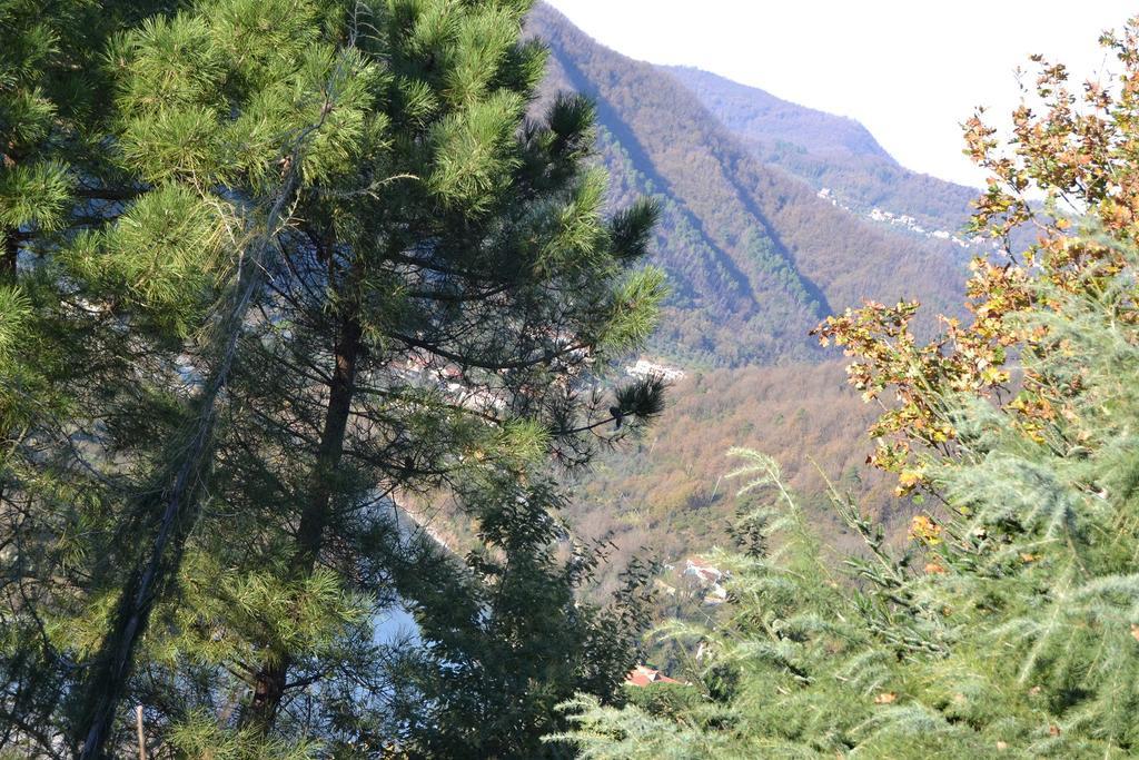 Toscana Nord Ovest - Tra La Costa Apartments Albiano Magra Экстерьер фото