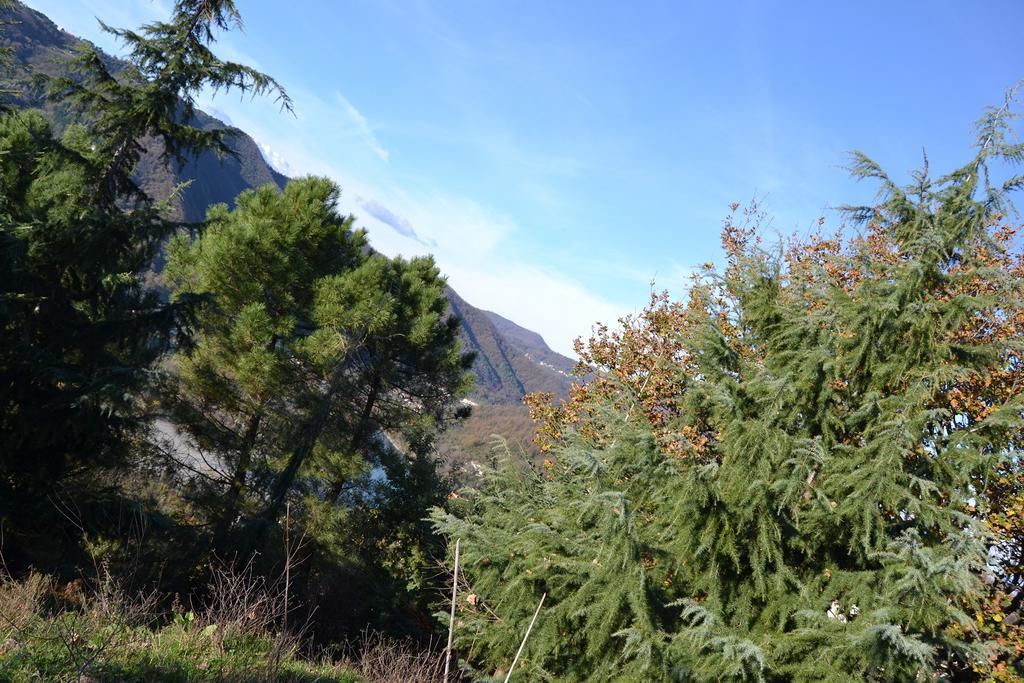 Toscana Nord Ovest - Tra La Costa Apartments Albiano Magra Экстерьер фото