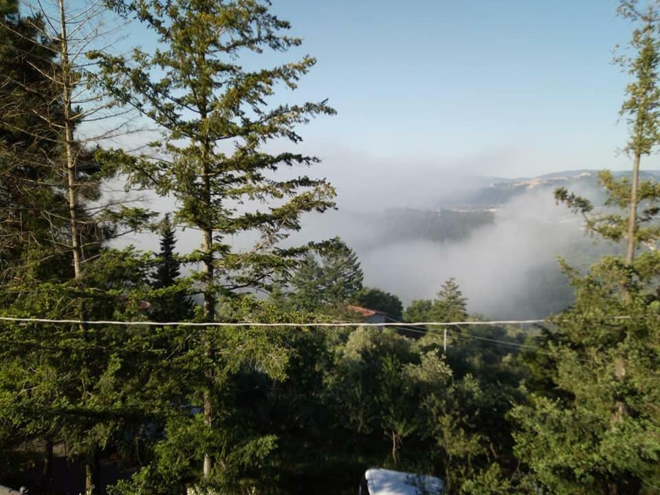 Toscana Nord Ovest - Tra La Costa Apartments Albiano Magra Экстерьер фото